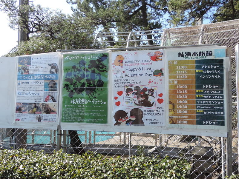 f:id:minato920:20200204192108j:plain