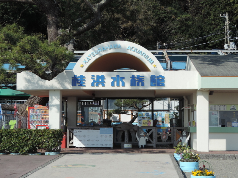 f:id:minato920:20200204192127j:plain