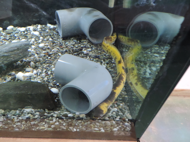 f:id:minato920:20200204192148j:plain