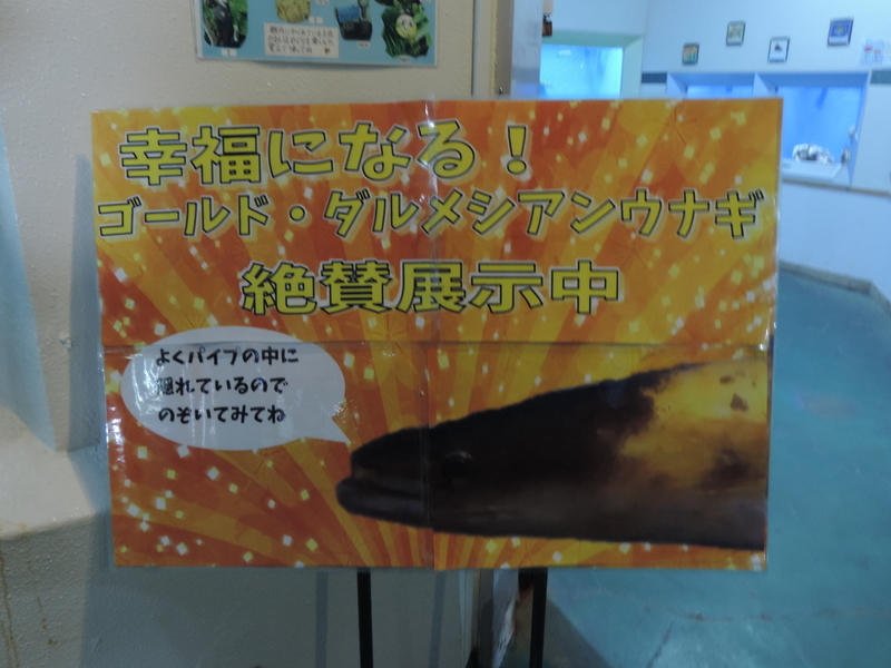 f:id:minato920:20200204192210j:plain