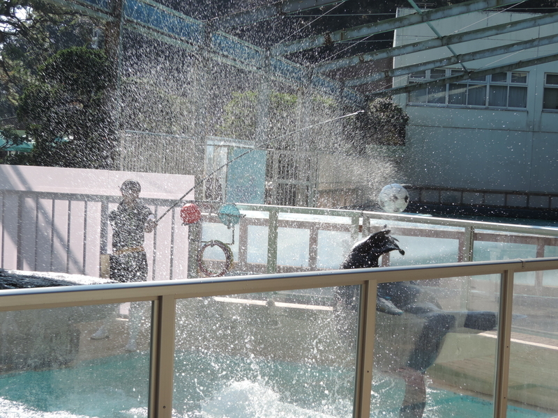 f:id:minato920:20200204192226j:plain