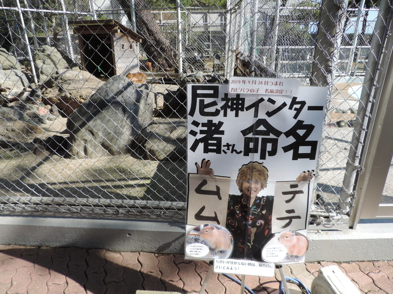 f:id:minato920:20200204192240j:plain