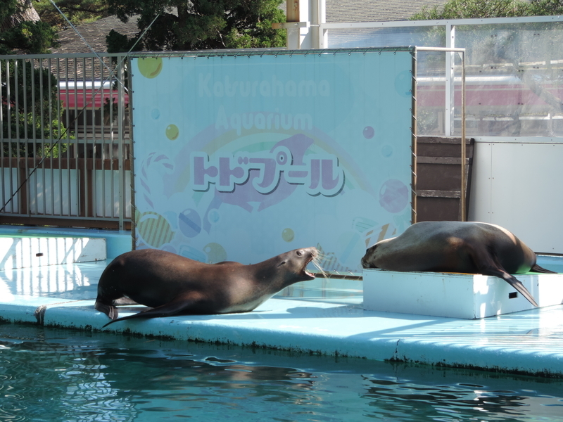 f:id:minato920:20200204192254j:plain