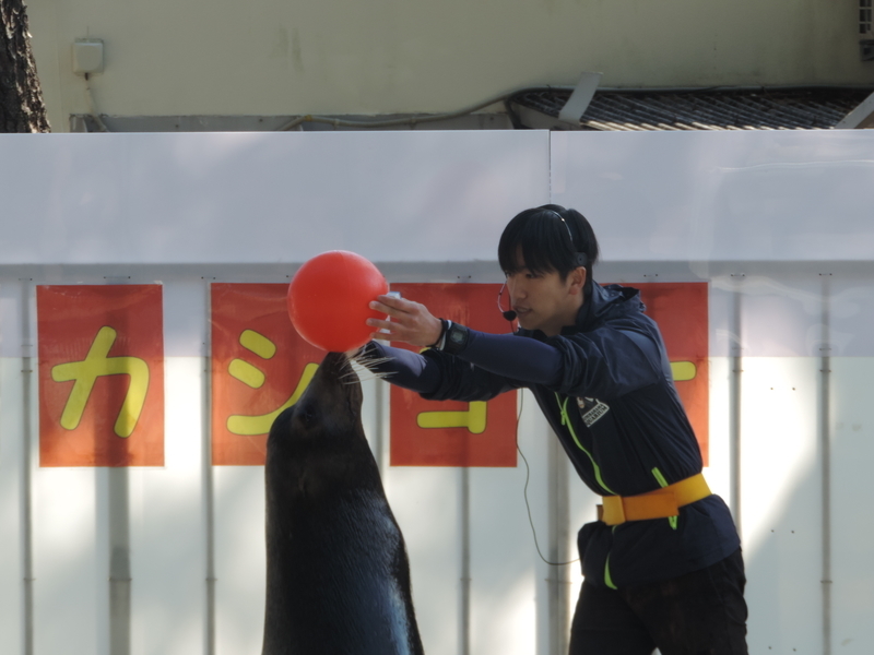 f:id:minato920:20200204192321j:plain