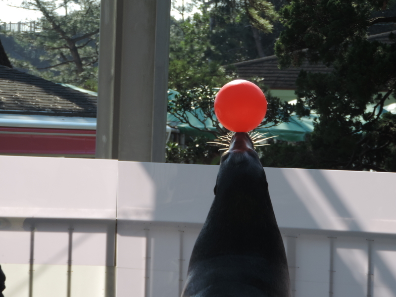 f:id:minato920:20200204192328j:plain