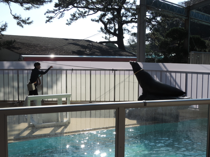 f:id:minato920:20200204192341j:plain