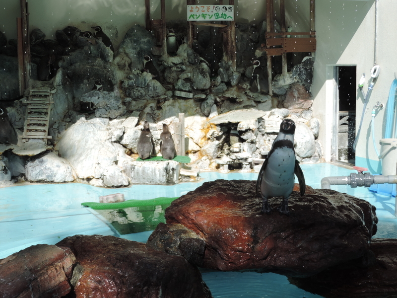 f:id:minato920:20200205071139j:plain