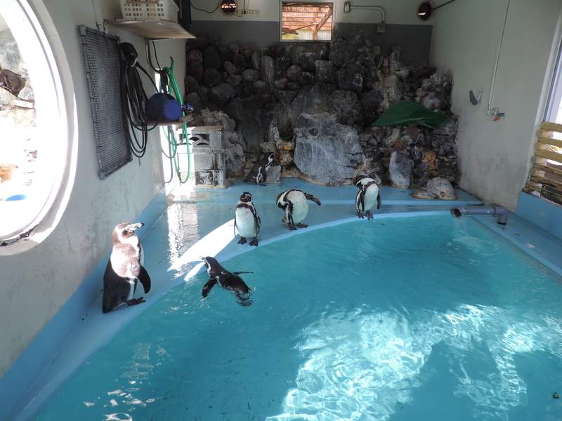 f:id:minato920:20200205071147j:plain