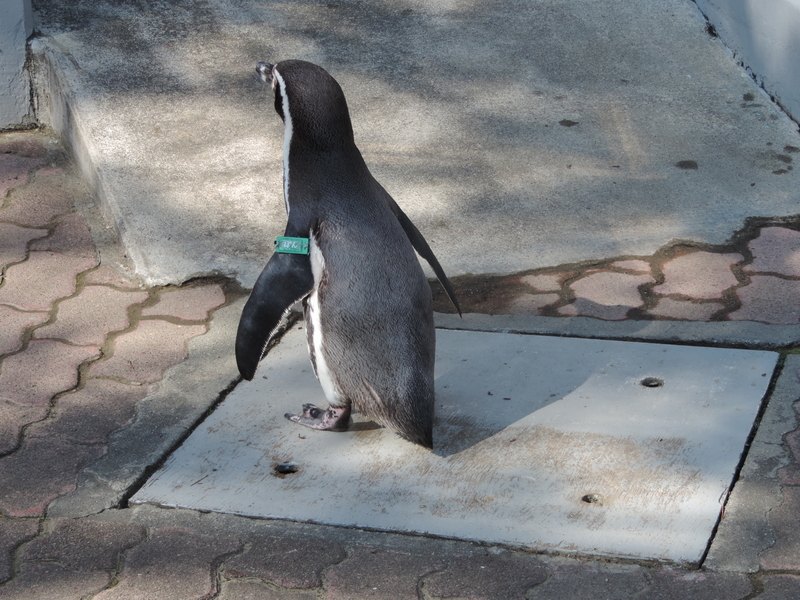 f:id:minato920:20200205071209j:plain