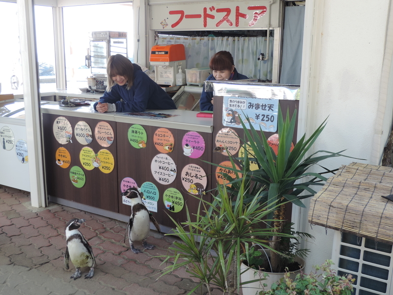 f:id:minato920:20200205071224j:plain