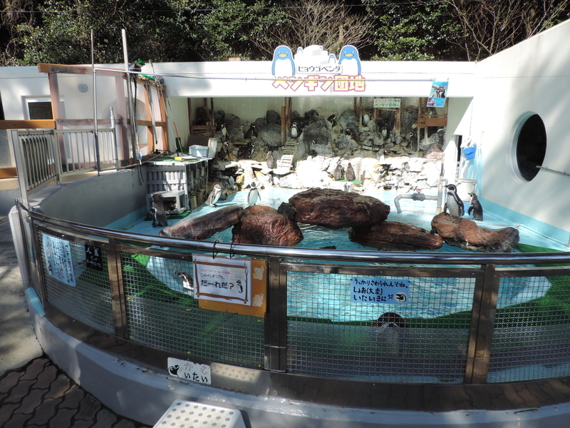 f:id:minato920:20200205071239j:plain