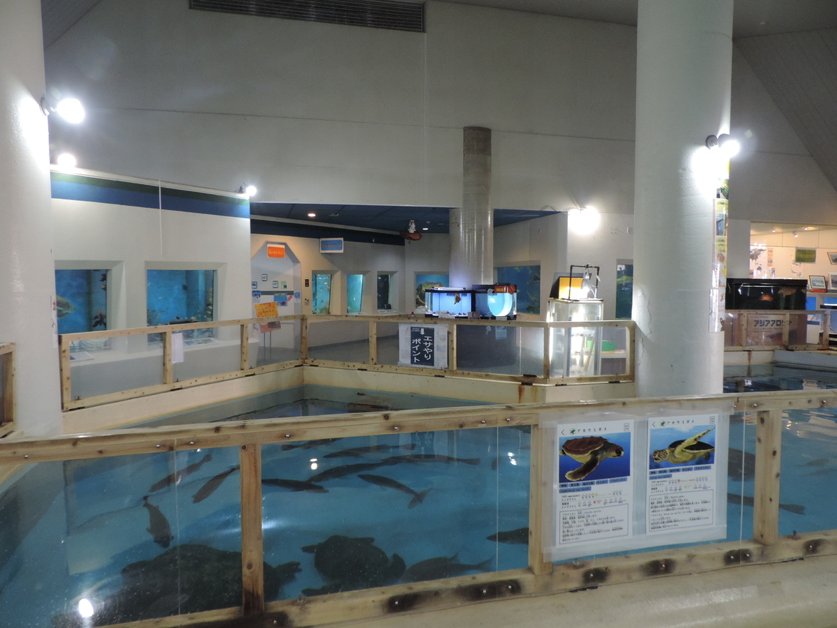 f:id:minato920:20200205073031j:plain