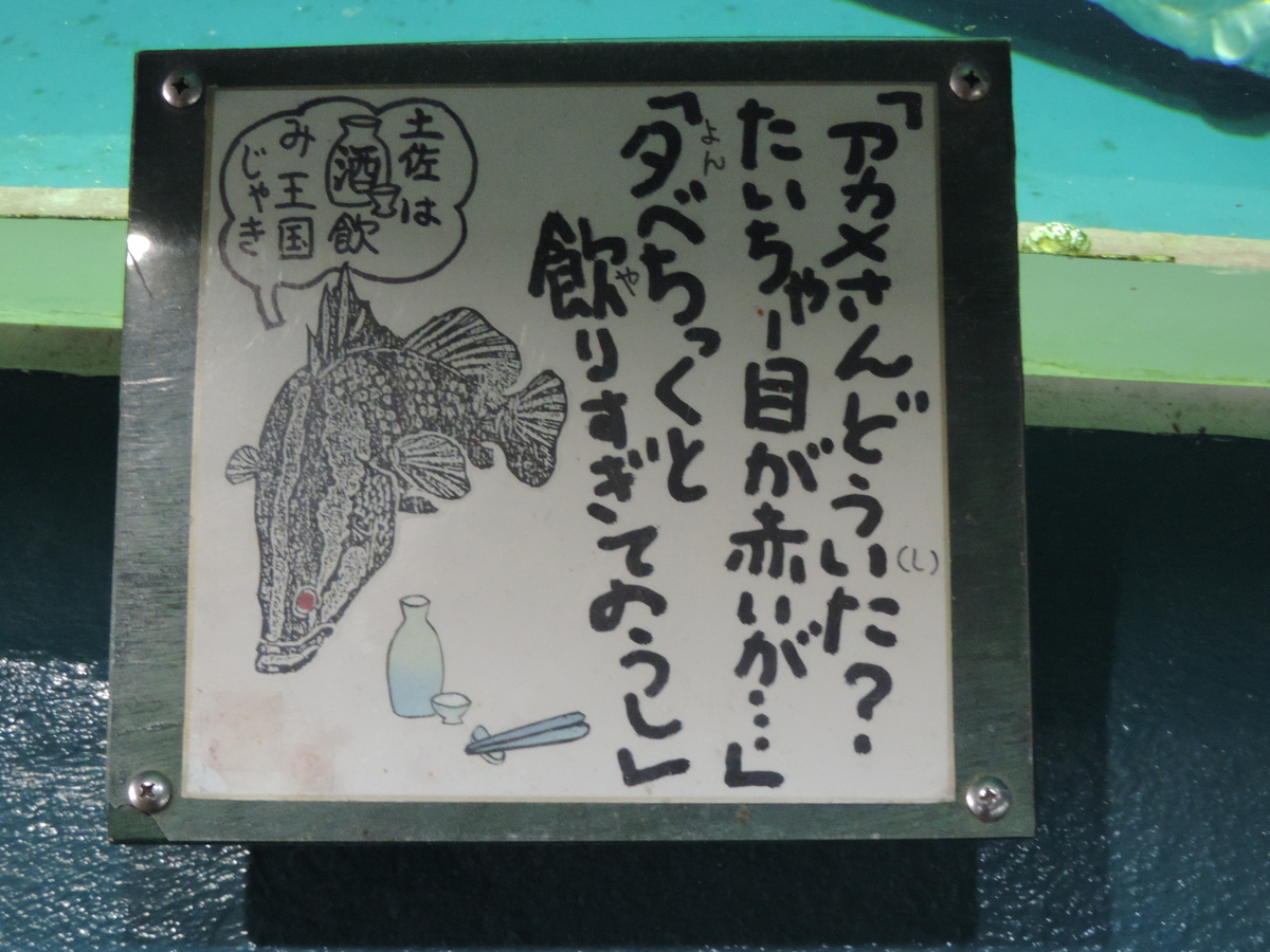 f:id:minato920:20200205075208j:plain