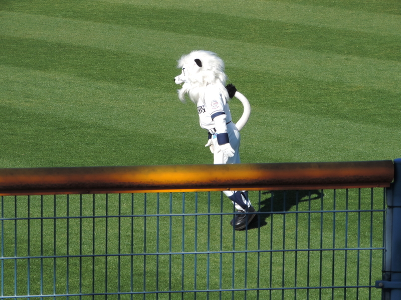 f:id:minato920:20200223174828j:plain