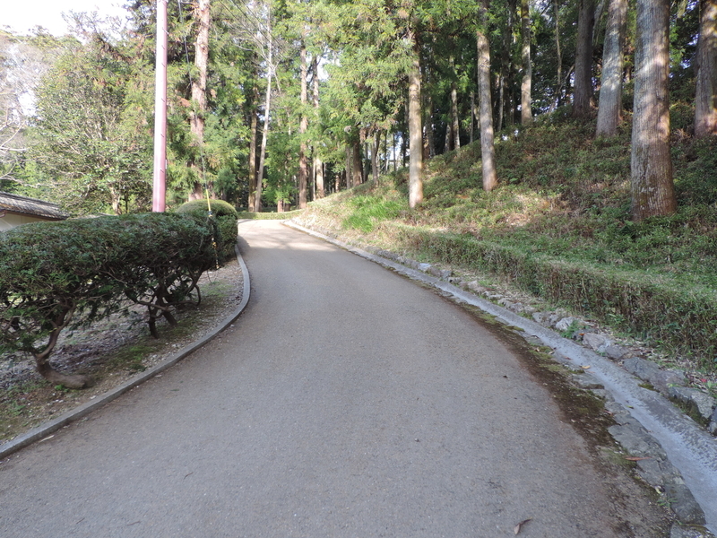 f:id:minato920:20200315172759j:plain