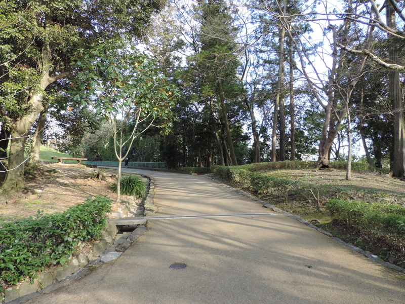 f:id:minato920:20200315172901j:plain