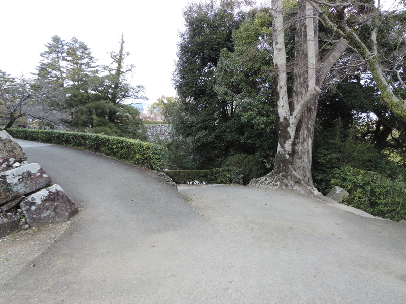 f:id:minato920:20200315173238j:plain