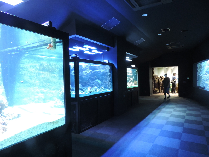 f:id:minato920:20200928070627j:plain