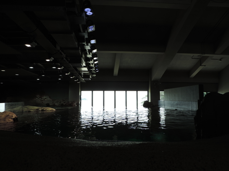 f:id:minato920:20200928070649j:plain