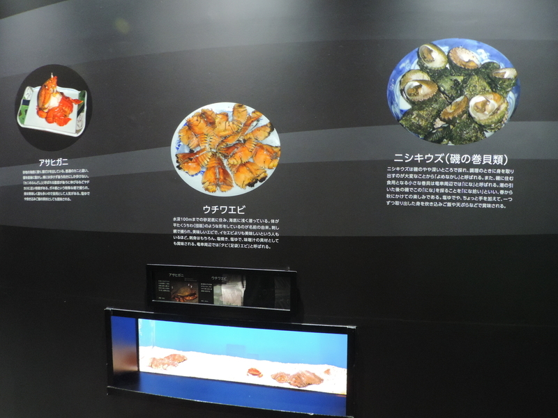 f:id:minato920:20200928070710j:plain