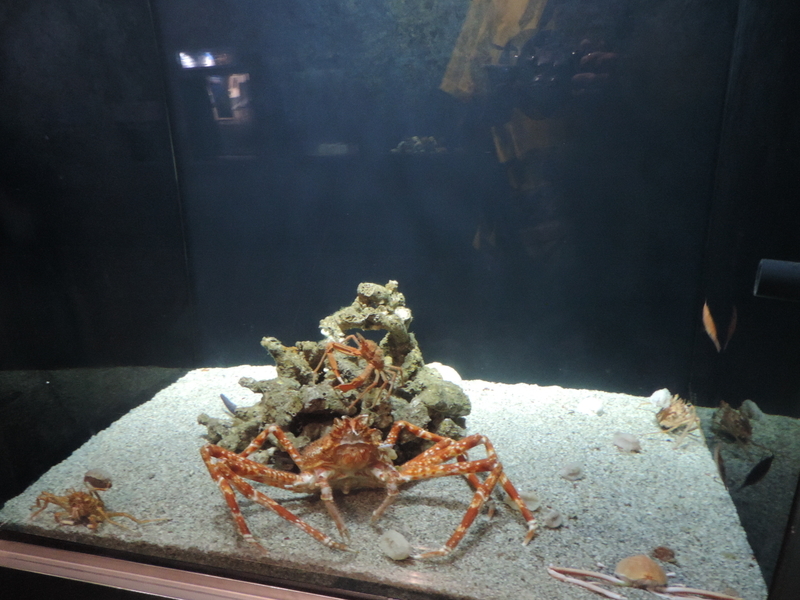 f:id:minato920:20200928070757j:plain