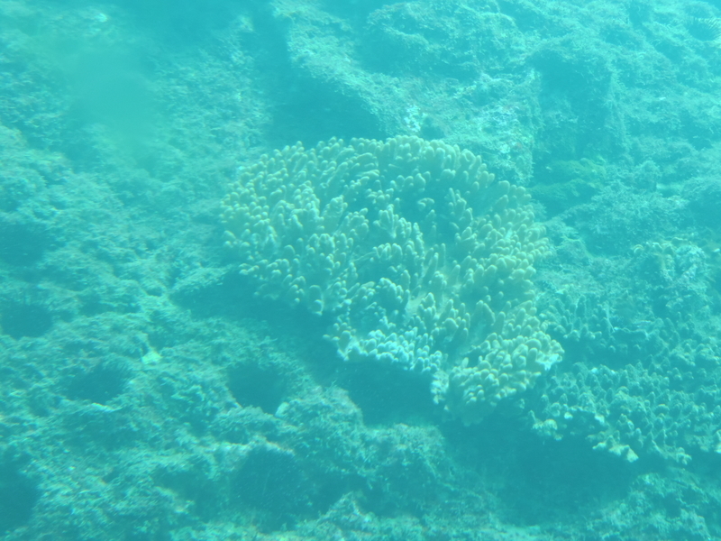 f:id:minato920:20200928070827j:plain f:id:minato920:20200928070827j:plain