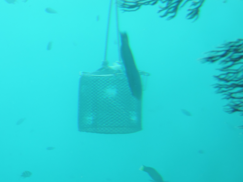 f:id:minato920:20200928070835j:plain f:id:minato920:20200928070835j:plain