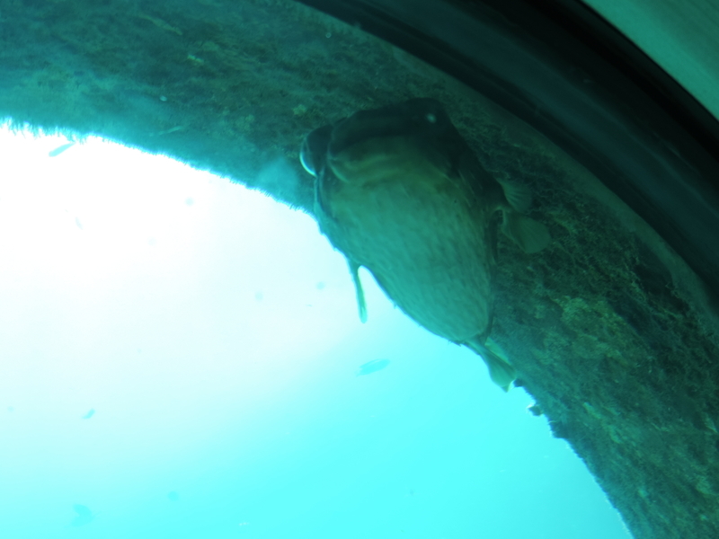 f:id:minato920:20200928070842j:plain f:id:minato920:20200928070842j:plain