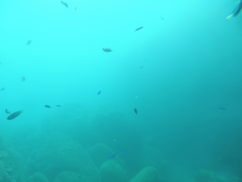 f:id:minato920:20200928070849j:plain f:id:minato920:20200928070849j:plain