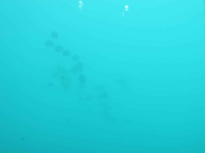 f:id:minato920:20200928070903j:plain f:id:minato920:20200928070903j:plain