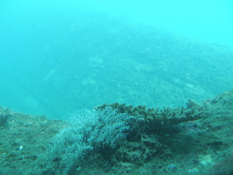 f:id:minato920:20200928071044j:plain f:id:minato920:20200928071044j:plain