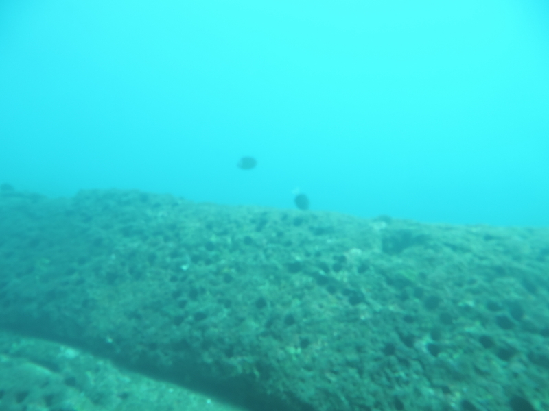 f:id:minato920:20200928071058j:plain f:id:minato920:20200928071058j:plain