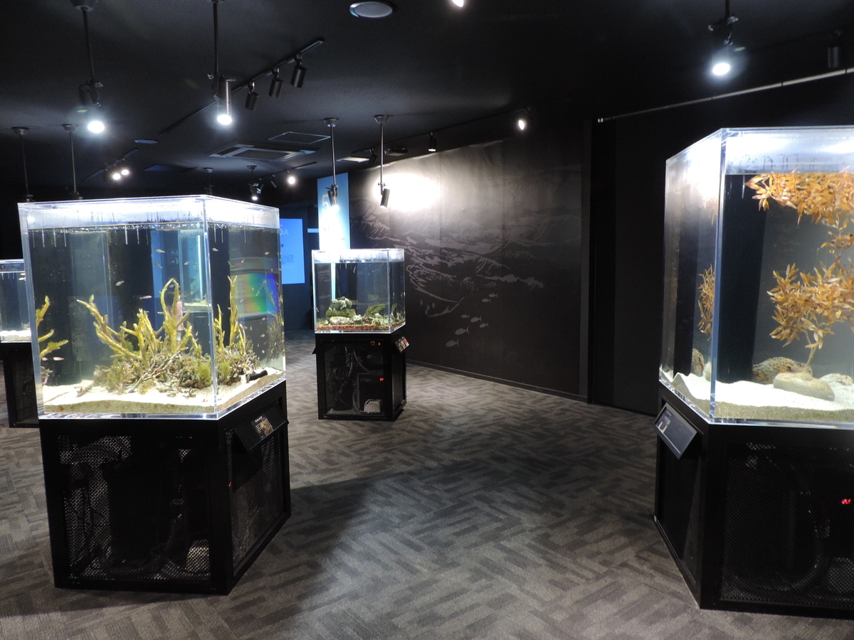 f:id:minato920:20200930080202j:plain