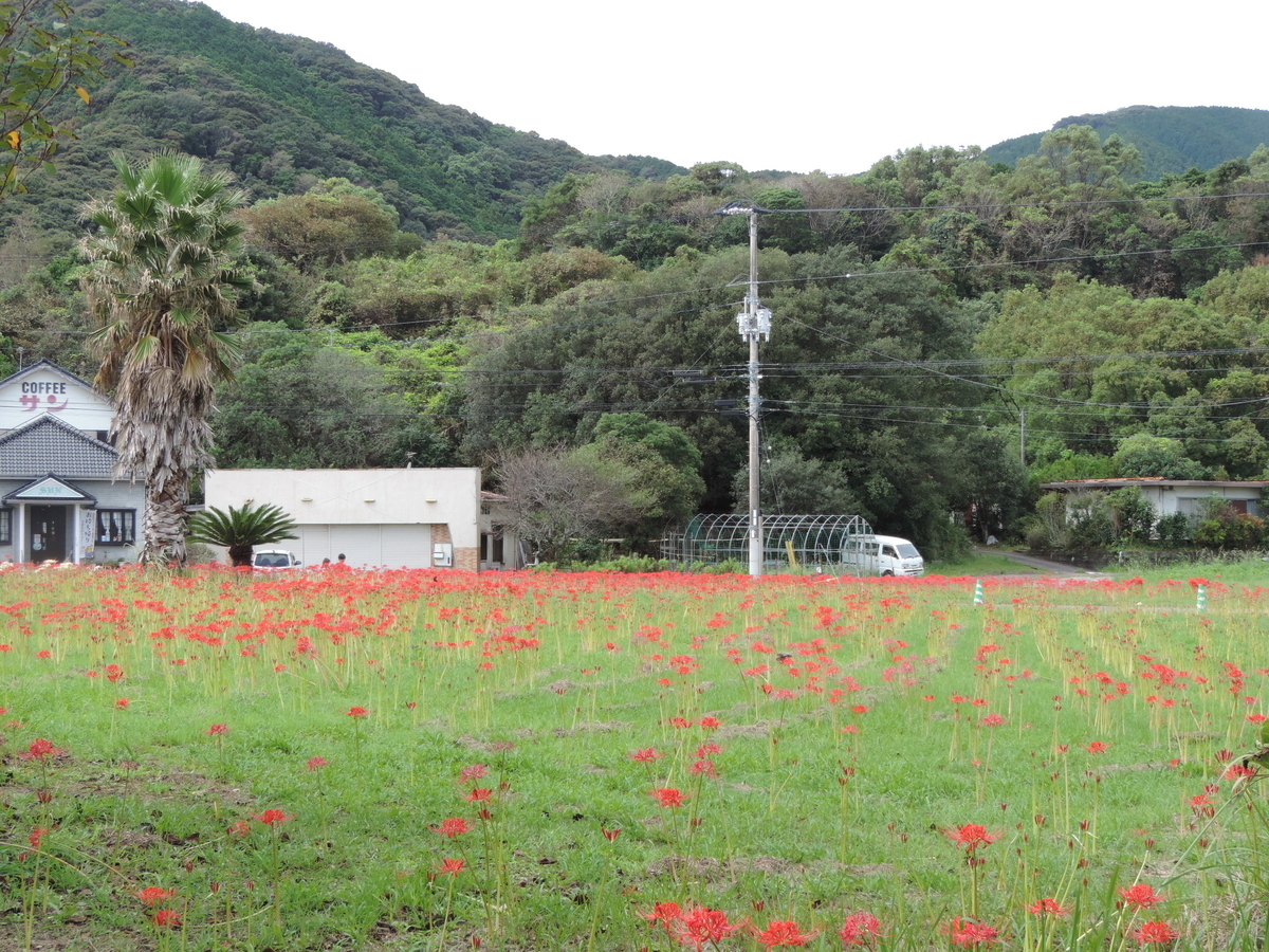 f:id:minato920:20201001084632j:plain f:id:minato920:20201001084632j:plain