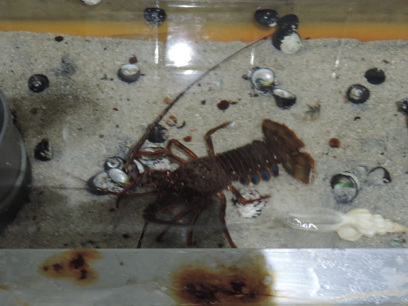 f:id:minato920:20201019064205j:plain f:id:minato920:20201019064205j:plain