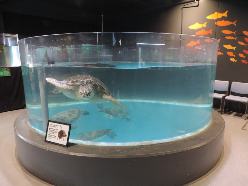 f:id:minato920:20201019064238j:plain f:id:minato920:20201019064238j:plain