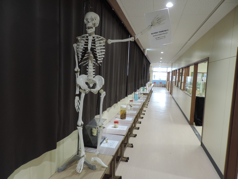 f:id:minato920:20201019064253j:plain f:id:minato920:20201019064253j:plain