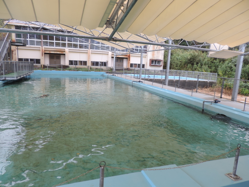 f:id:minato920:20201019064449j:plain f:id:minato920:20201019064449j:plain