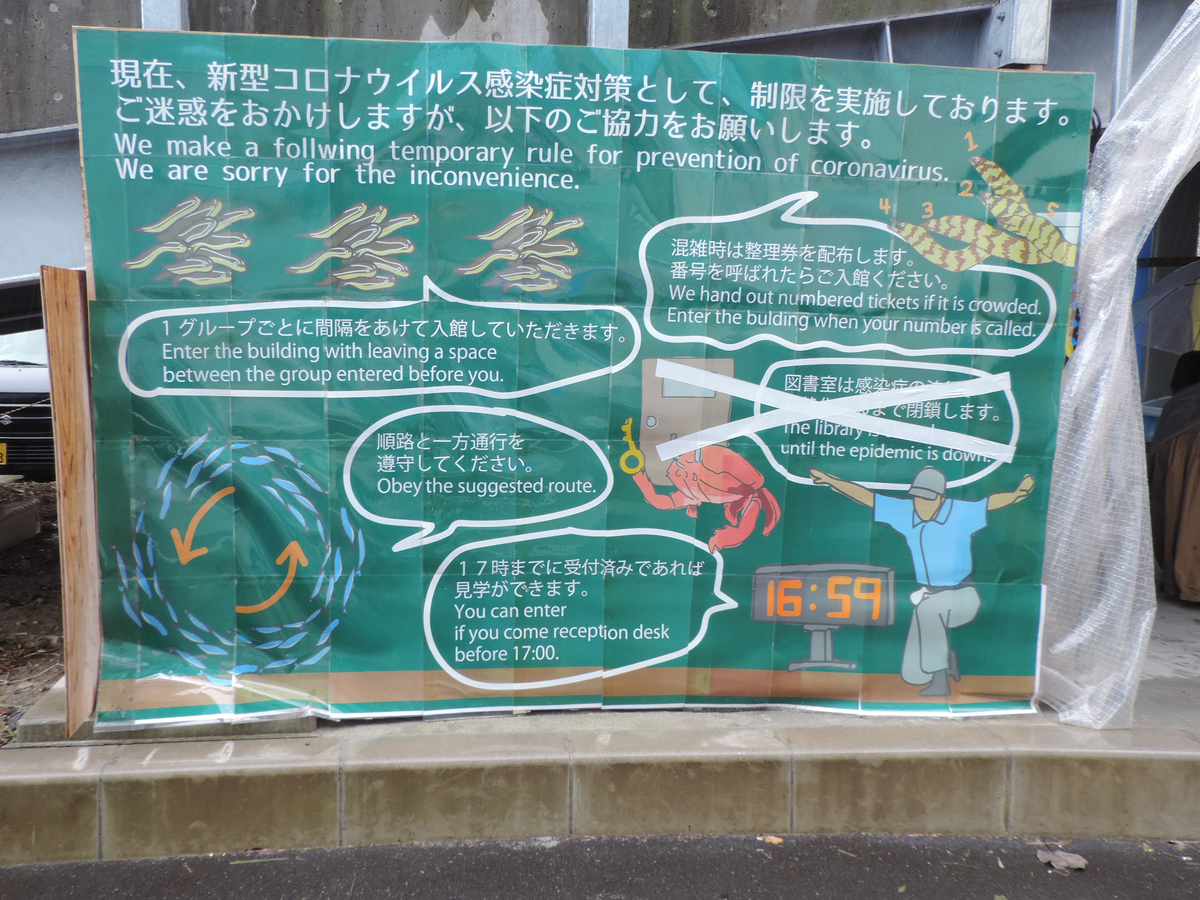 f:id:minato920:20201020171110j:plain f:id:minato920:20201020171110j:plain