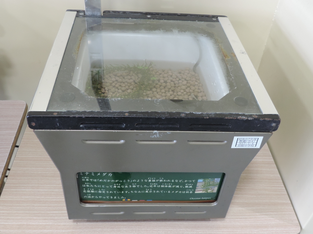 f:id:minato920:20201022070957j:plain f:id:minato920:20201022070957j:plain