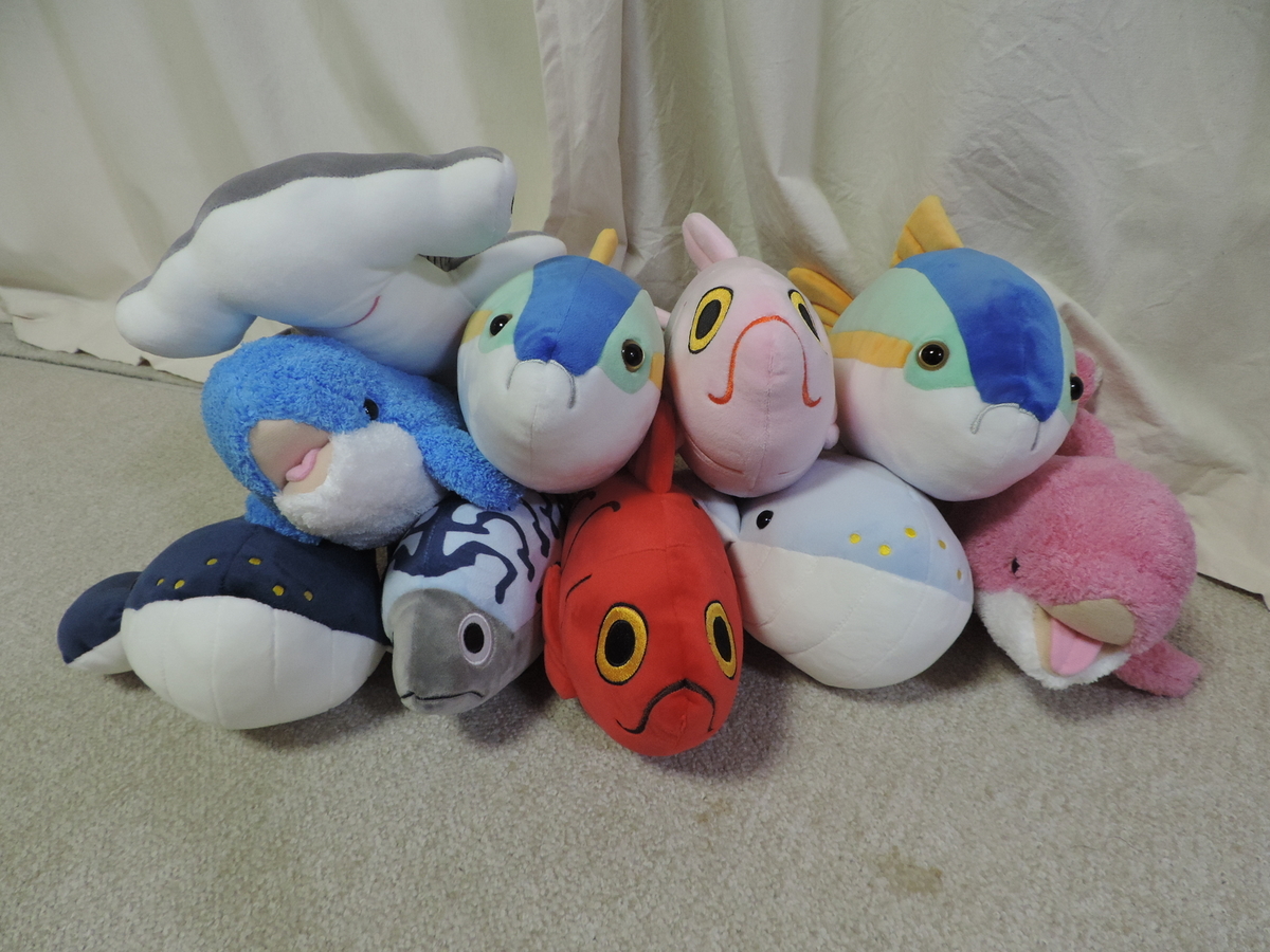 ととさん専用 くじらのぬいぐるみ ととさん専用 くじらのぬいぐるみ Amazon.co.jp: MUPI 潮吹き