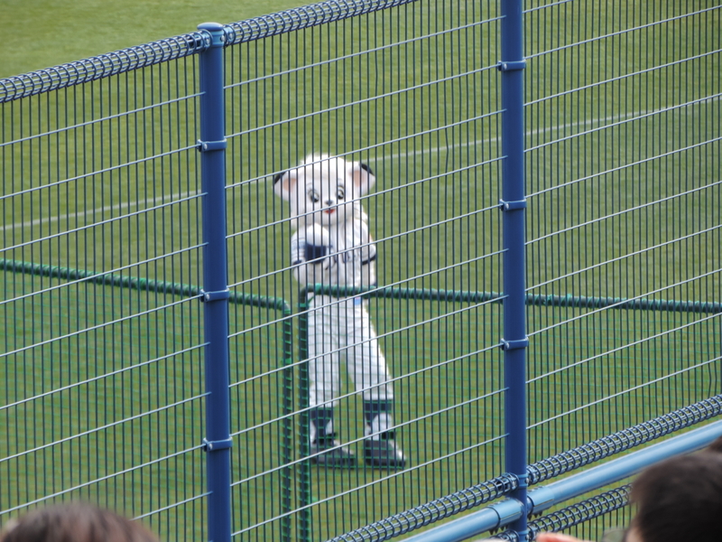 f:id:minato920:20210301153512j:plain