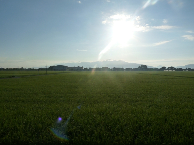 f:id:minato920:20210310200324j:plain