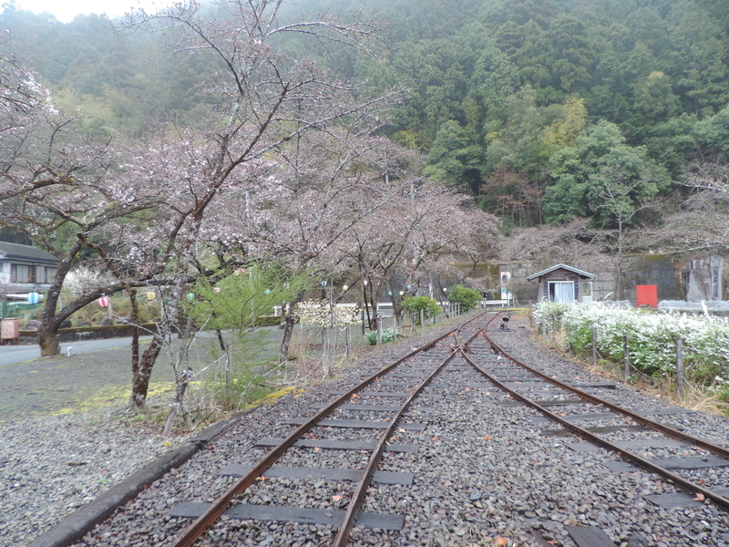 f:id:minato920:20210321110332j:plain