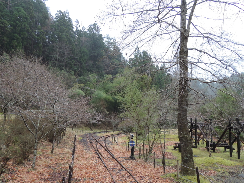 f:id:minato920:20210321110530j:plain