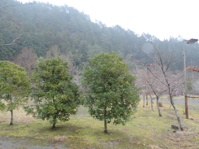 f:id:minato920:20210321110559j:plain