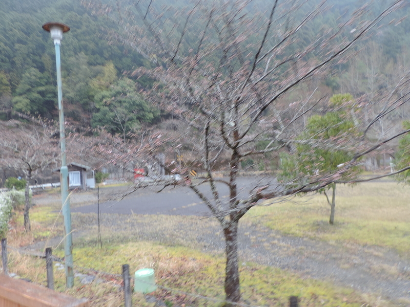 f:id:minato920:20210321110606j:plain