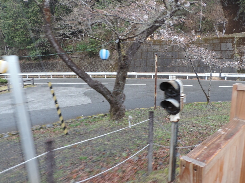 f:id:minato920:20210321110613j:plain