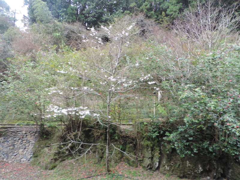 f:id:minato920:20210321110937j:plain