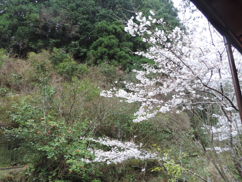 f:id:minato920:20210321110944j:plain